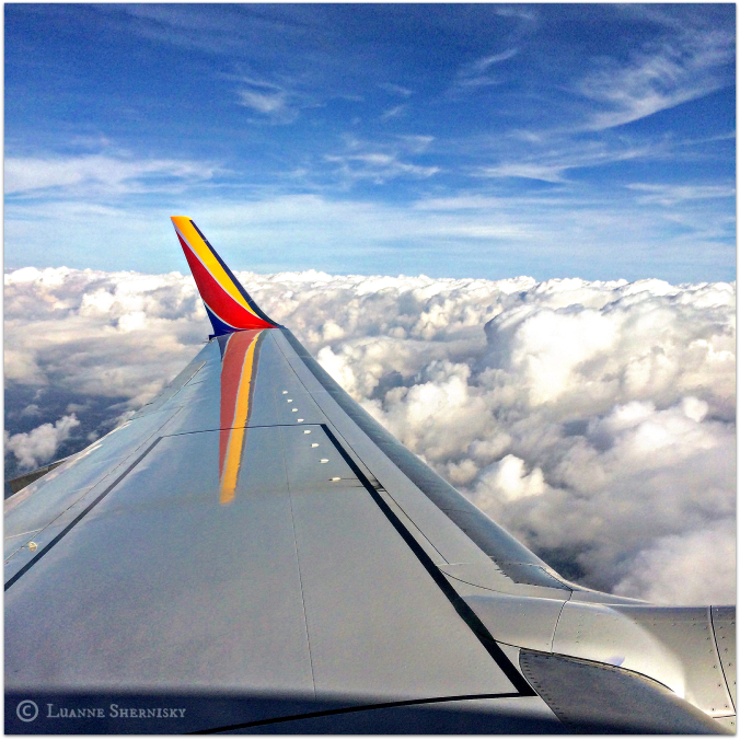 Wing of Southwest airplane