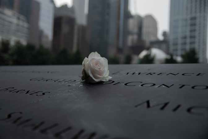 Close up photo of white rose on 9-11 memorial